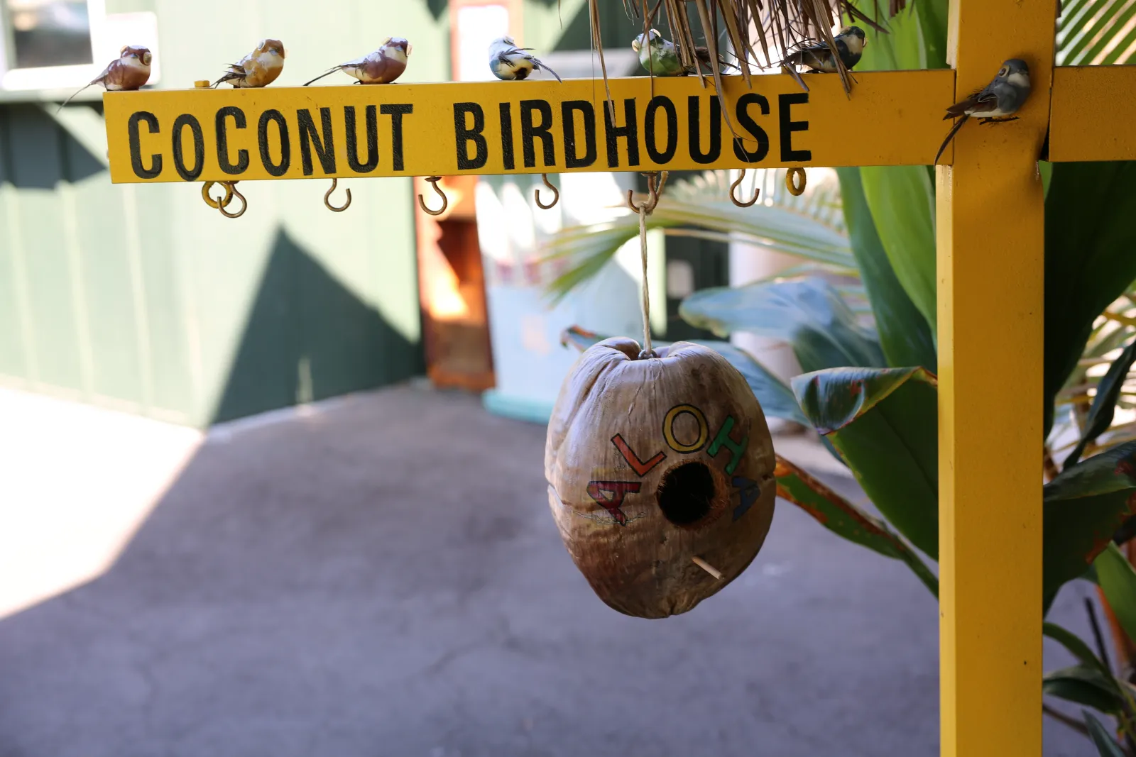 Coconut Birdhouse