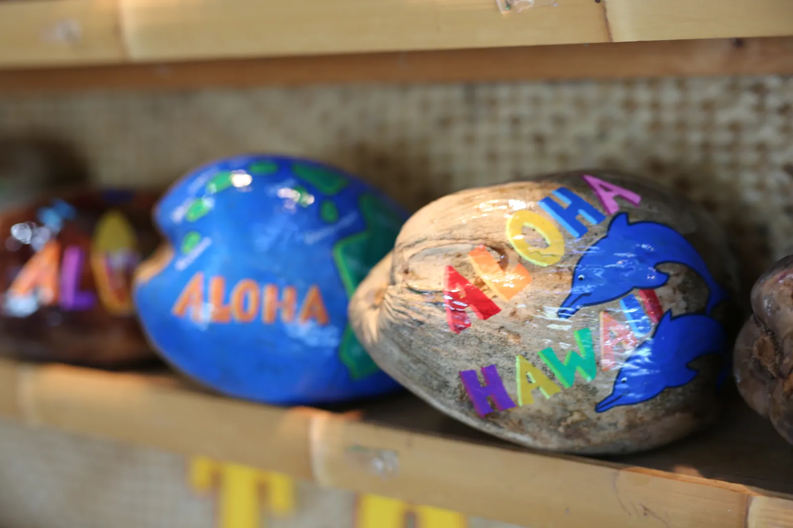 Hawaiian Coconut Postcard